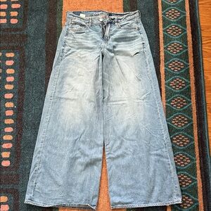 American Eagle Outfitters Light Blue Wide-Leg Jeans
